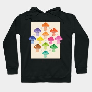 Farmers Market Kyoto Rainbow colour mixed mushroom art print Hoodie